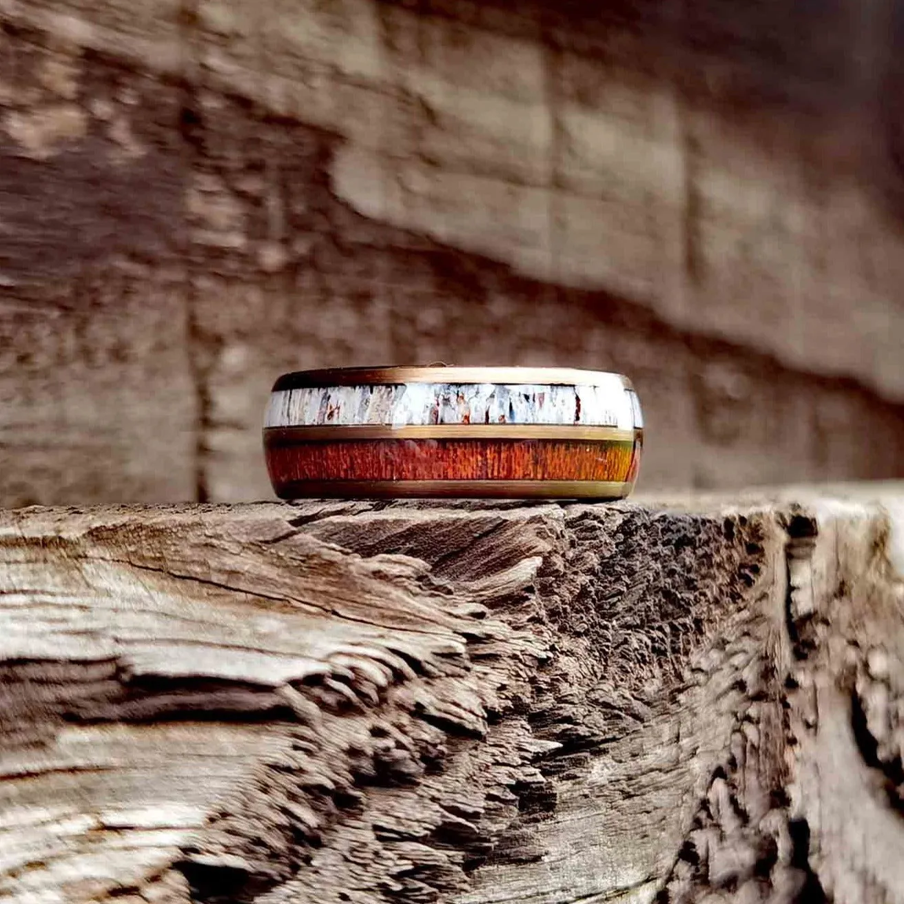 The Tribal - Deer Antler & Rosewood Men's Tungsten Ring