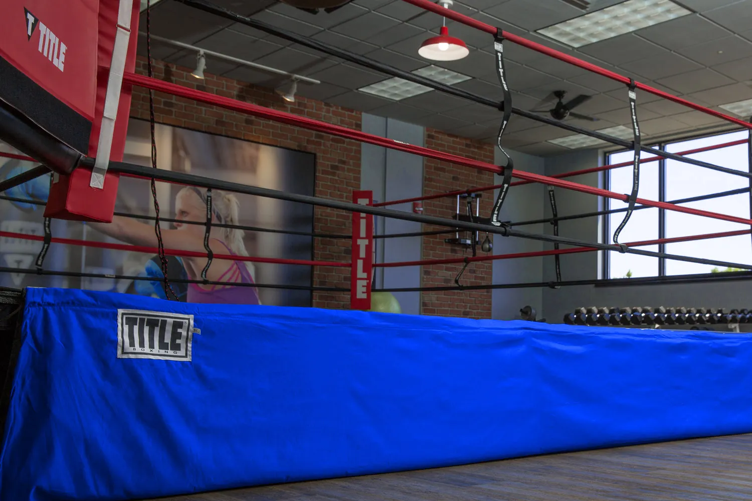 TITLE Boxing Professional Ring Skirt 3.0