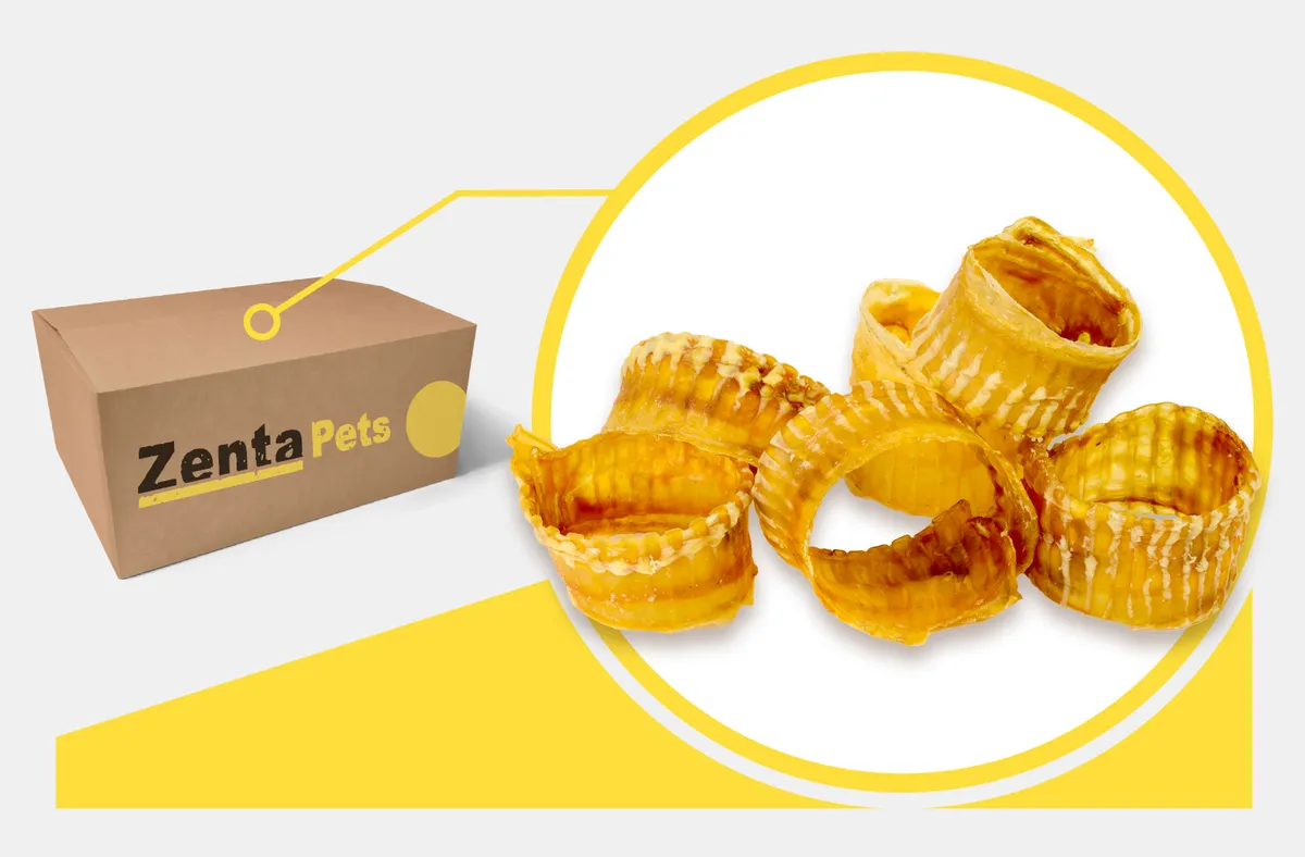 Trachea Rings