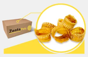 Trachea Rings