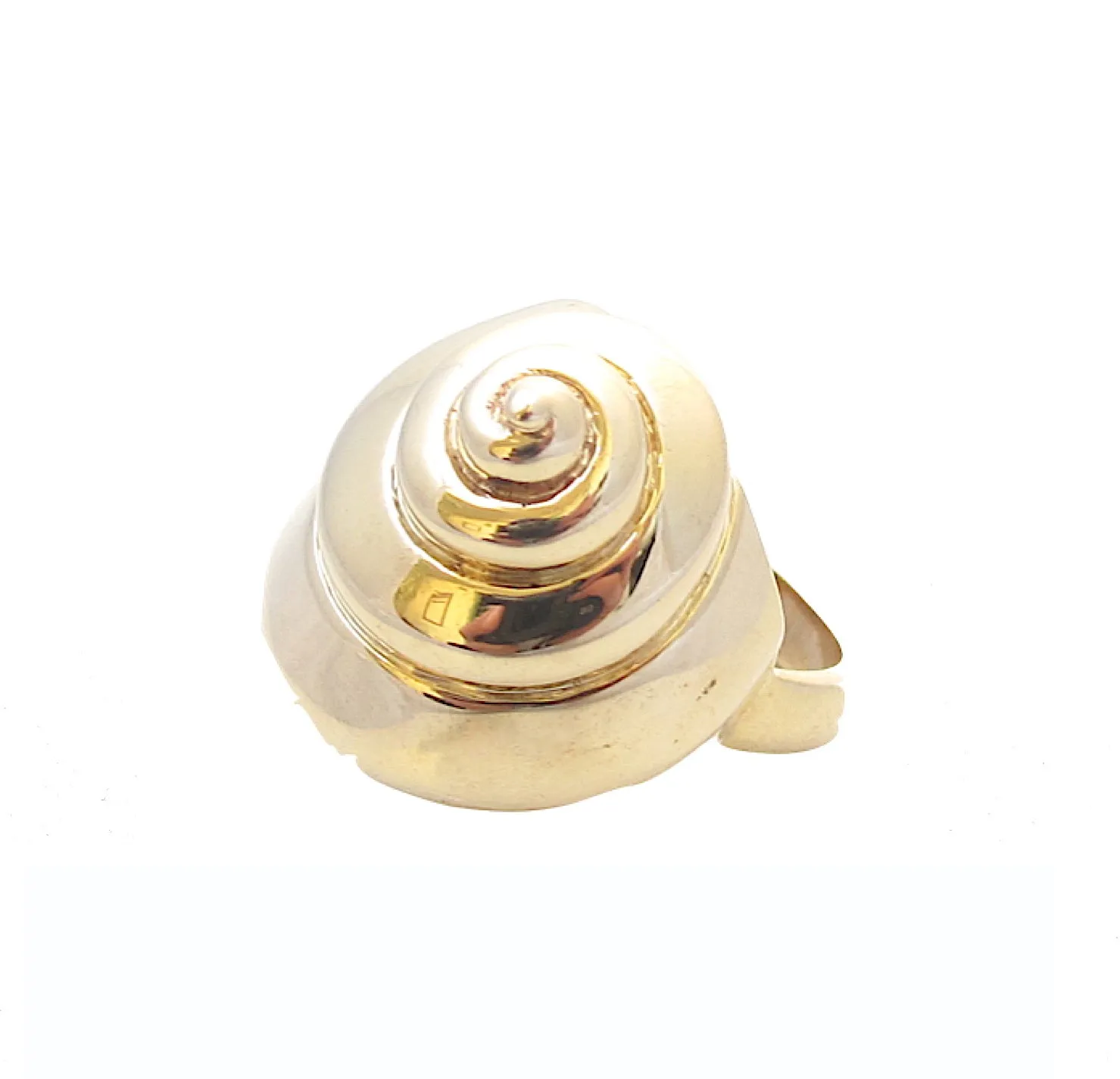 Turbo Shell Ring