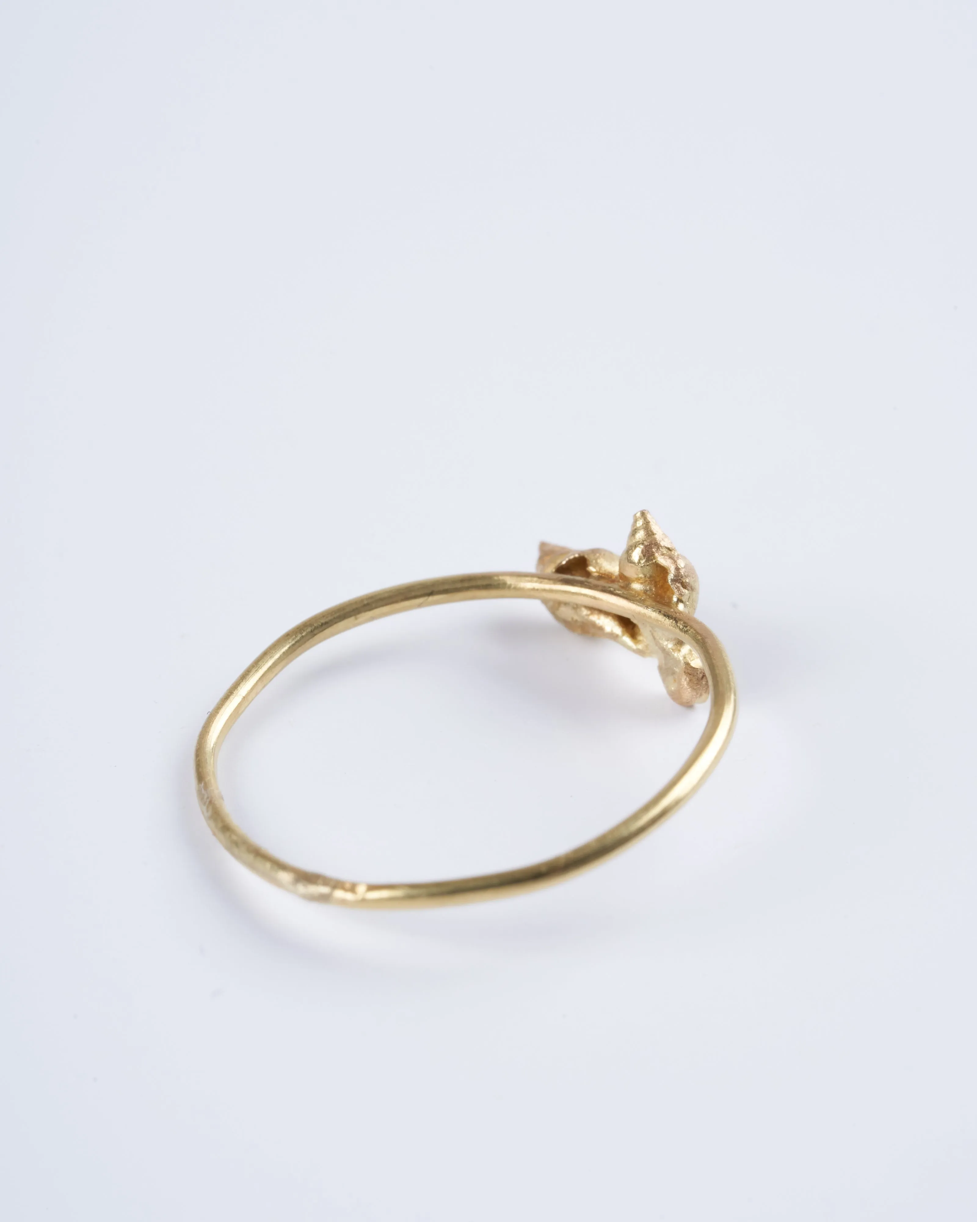 two shells with diamond - gold