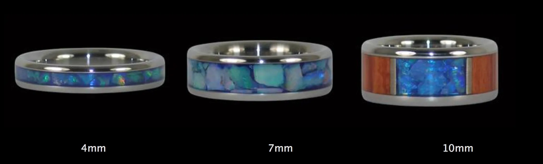 Two Turtles Titanium Ring