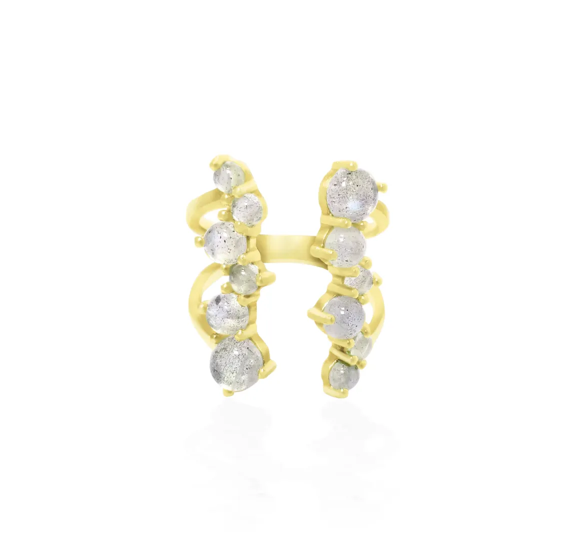 Via Lactea Ring