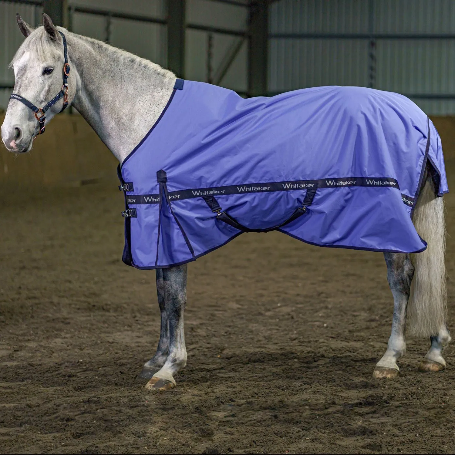 Whitaker Clifton Turnout Rug 0Gm