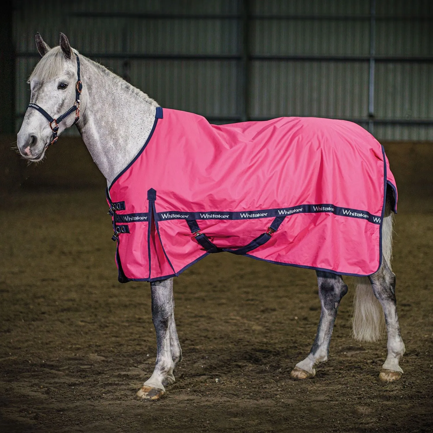 Whitaker Clifton Turnout Rug 0Gm